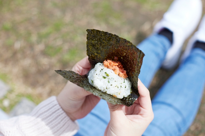 鴨川でのピクニックにも