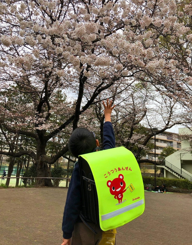 ランドセルカバー着用時の様子