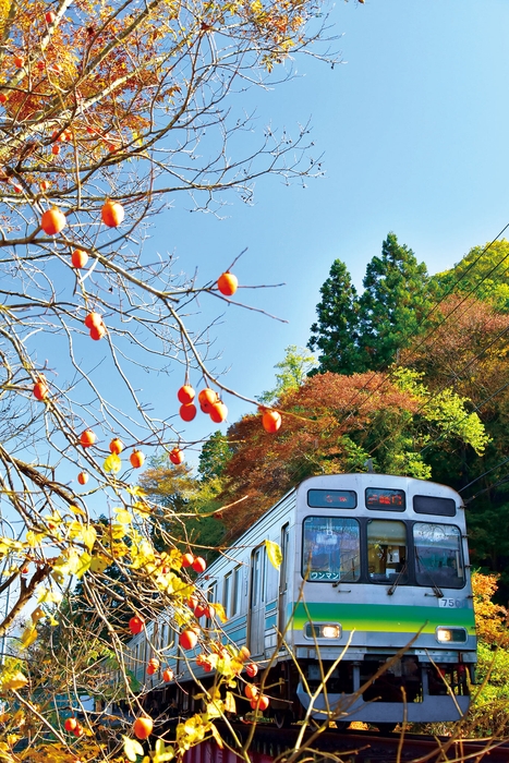7500系車両 イメージ