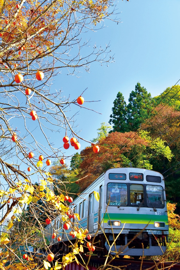 7500系車両 イメージ