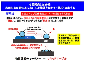 小物体を“水陸両用”で運搬する技術を世界で初めて開発 　光や風の力で隣接する水面と固体面を自由に行き来きさせ、 遠隔操作で中身を放出