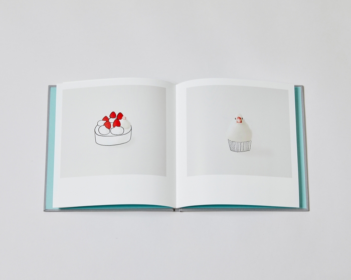 写真集『BECKBOOK』書影_7