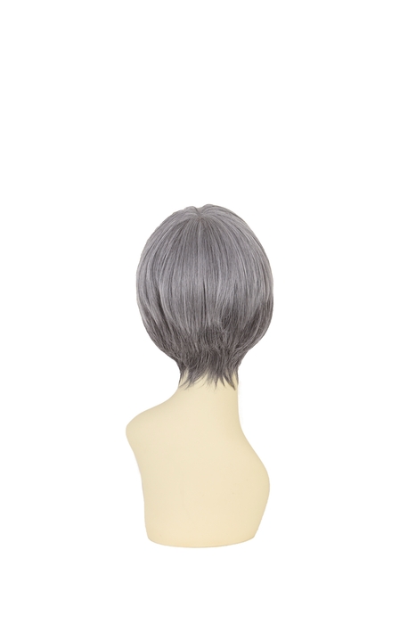 グレイヘアTGH バック