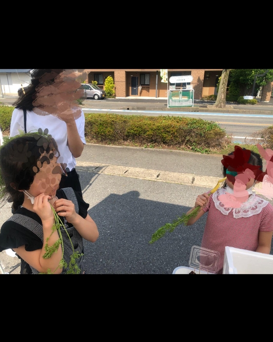 体験型八百屋