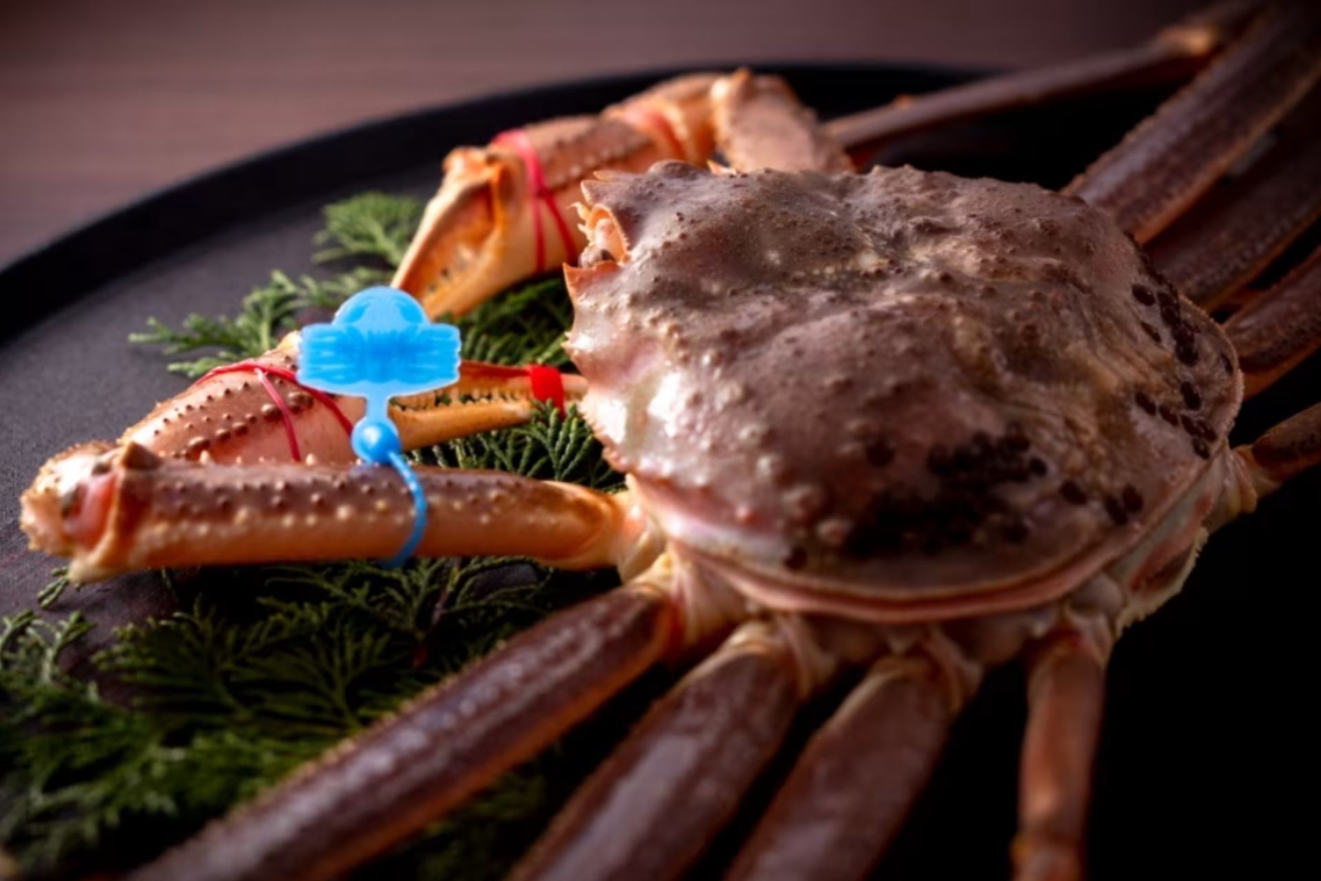 京都・夕日ヶ浦温泉 禁漁迫る松葉蟹と但馬牛の期間限定会席で、今冬を結ぶ一席 【もう一つの京都 雨情草庵】