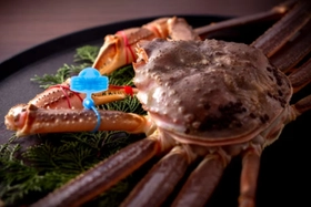 京都・夕日ヶ浦温泉　 禁漁迫る松葉蟹と但馬牛の期間限定会席で、今冬を結ぶ一席 【もう一つの京都　雨情草庵】