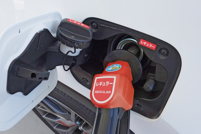 貼付例(レギュラー)