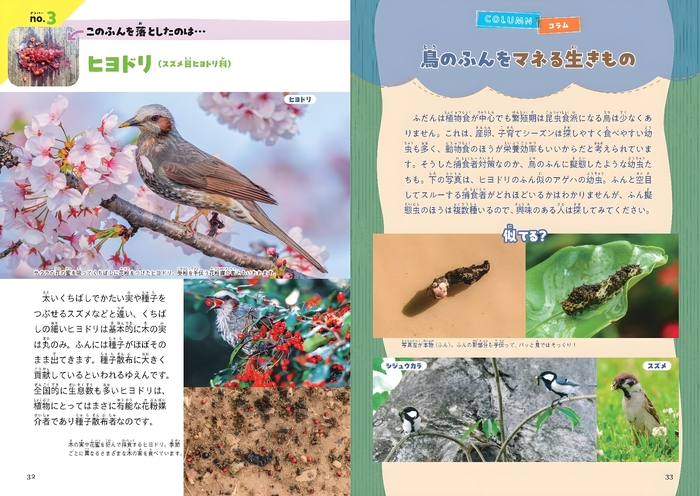 これ、だれの落としもの?(ふん編)