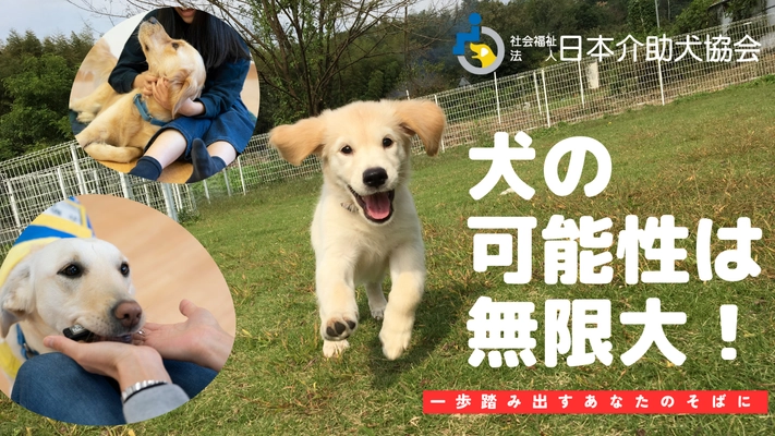 日本介助犬協会が12月31日(火)23時59分まで　 「ふるさと納税を活用したクラウドファンディング」を実施　 ～募集期間終了まで残りわずか～