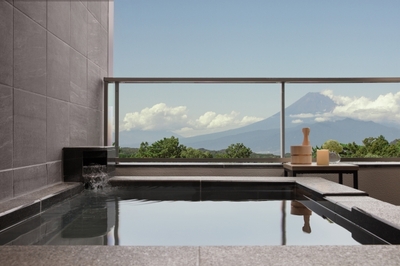 伊豆マリオットホテル修善寺       （温泉露天風呂付プレミアルーム）
