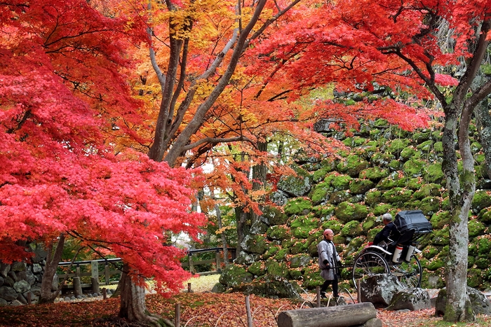 紅葉燃ゆる秋の懐古園