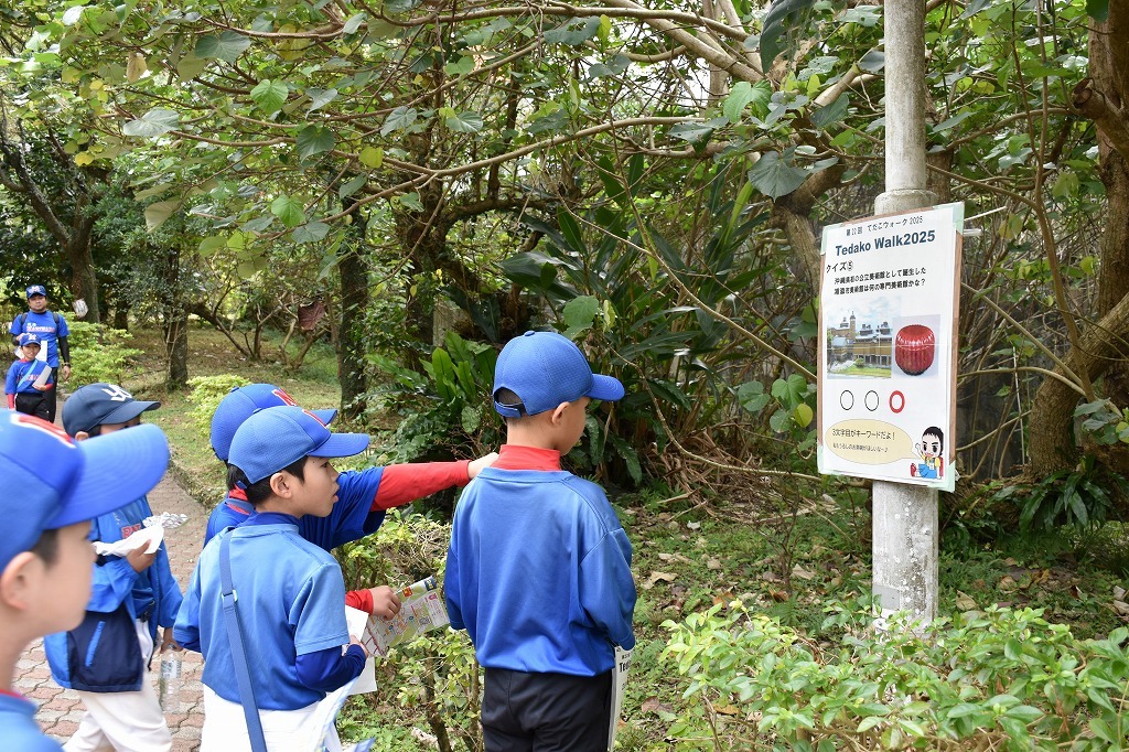 ウォーキング風景