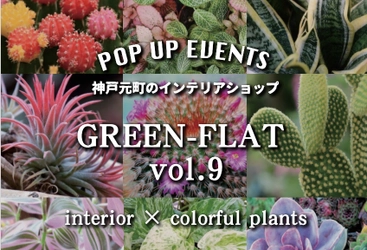 観葉植物が大集合！！ 「GREEN-FLAT vol.9～interior×colorful plants」が 11月3日～11月5日に直営インテリアショップにて開催！