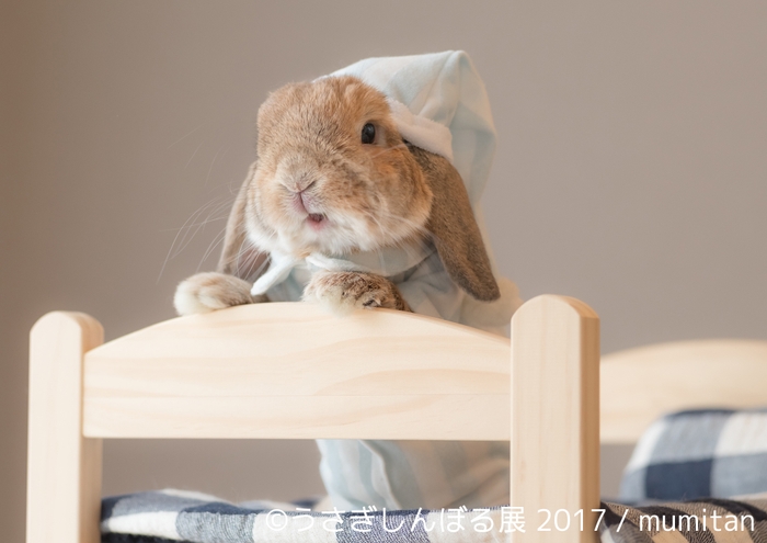 展示作品2
