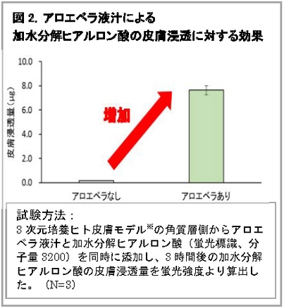 図2