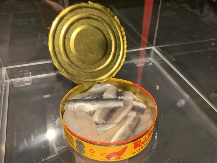 過去開催の様子