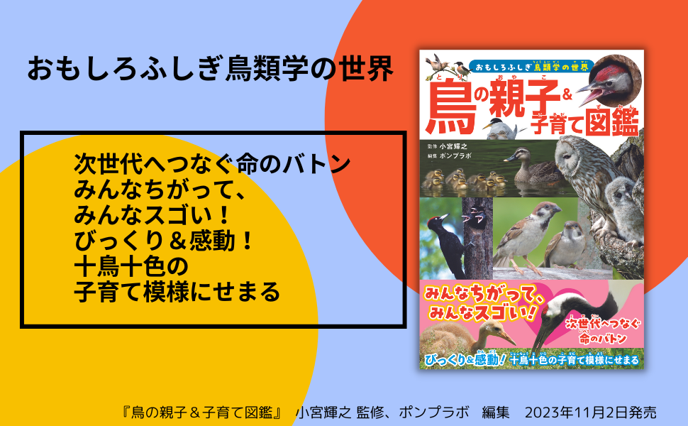 みんなちがって、みんなスゴい！ 『鳥の親子&子育て図鑑』が11月2日