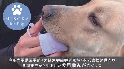 歯学×獣医学の融合で生まれた犬用歯みがきグッズを商品化へ　 「MISOKA for Dog」、クラウドファンディングを実施