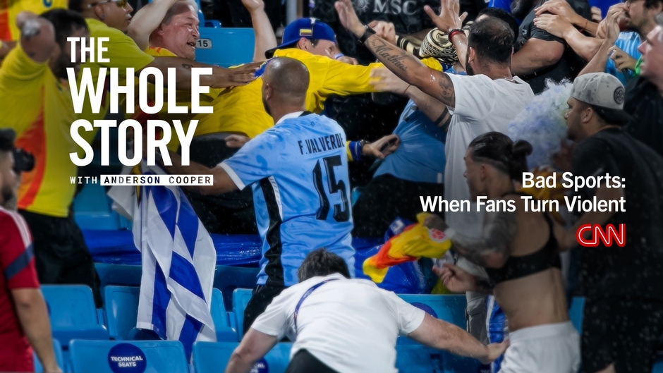 ザ・ホール・ストーリー:「スポーツファン 暴力行為」