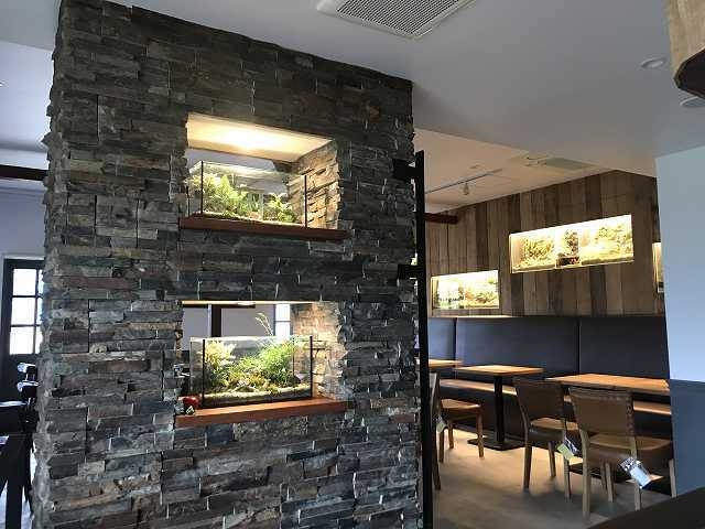 パルダリウムカフェ風景 2