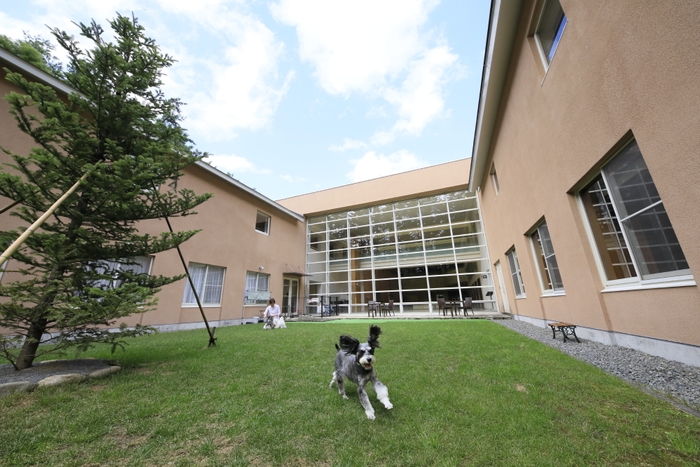 愛犬家に嬉しいわんちゃん無料特典