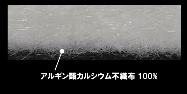 断面写真