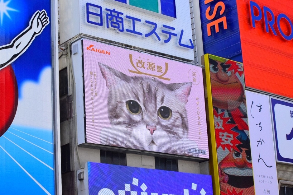 大阪・道頓堀で改源ビジョンお披露目