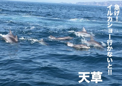 地域特別賞