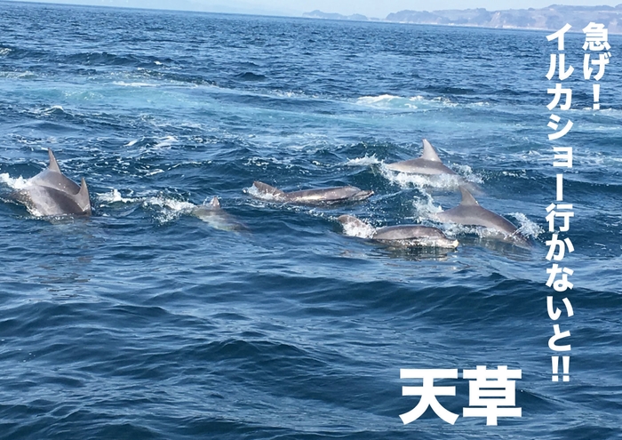 地域特別賞