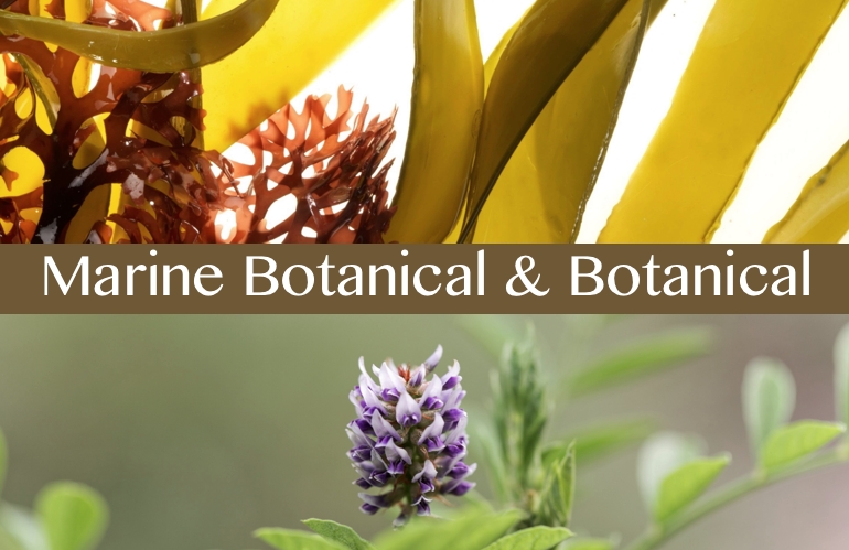 MarineBotanical&Botanical