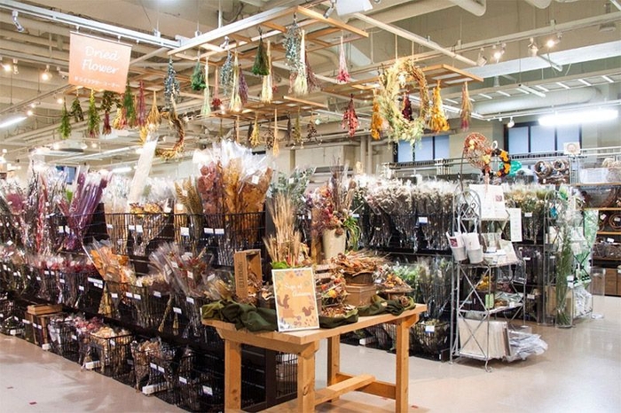 ドライフラワーコーナー