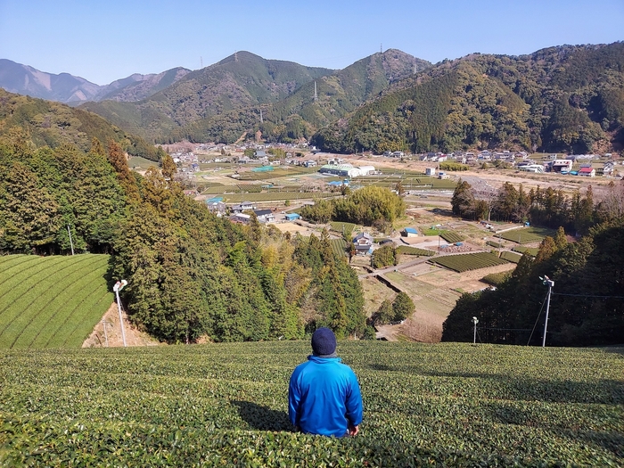 茶畑テラス設置予定地から足久保の里山を
