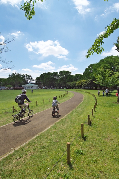 小金井公園　サイクリングコース　※画像はイメージです
