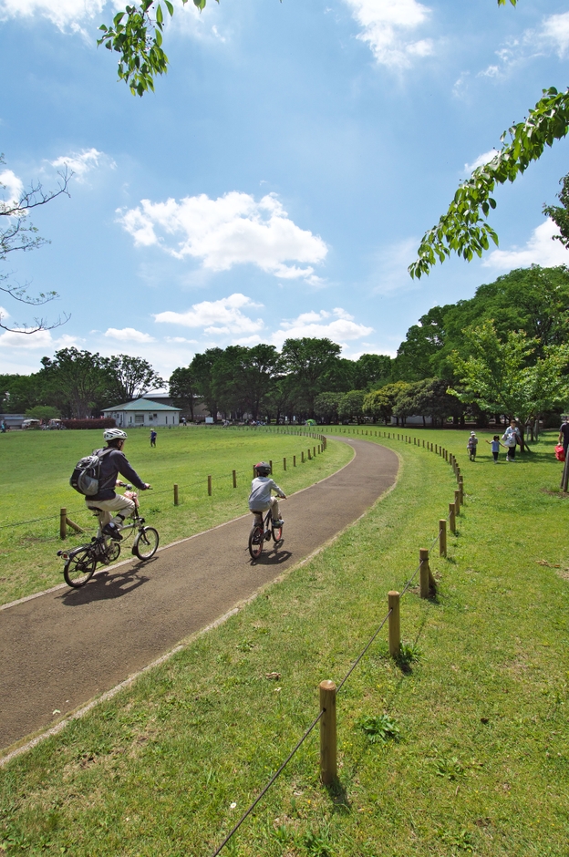 小金井公園　サイクリングコース　※画像はイメージです