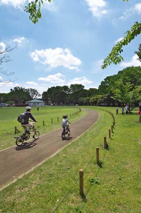 小金井公園 サイクリングコース ※画像はイメージです