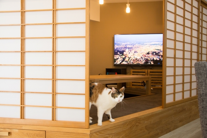 マイリノペット・障子