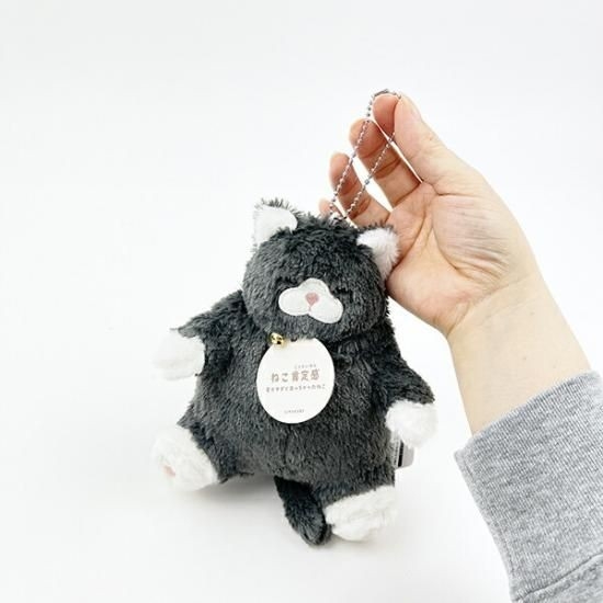 ねこ肯定感のふわふわなミニぬいぐるみ