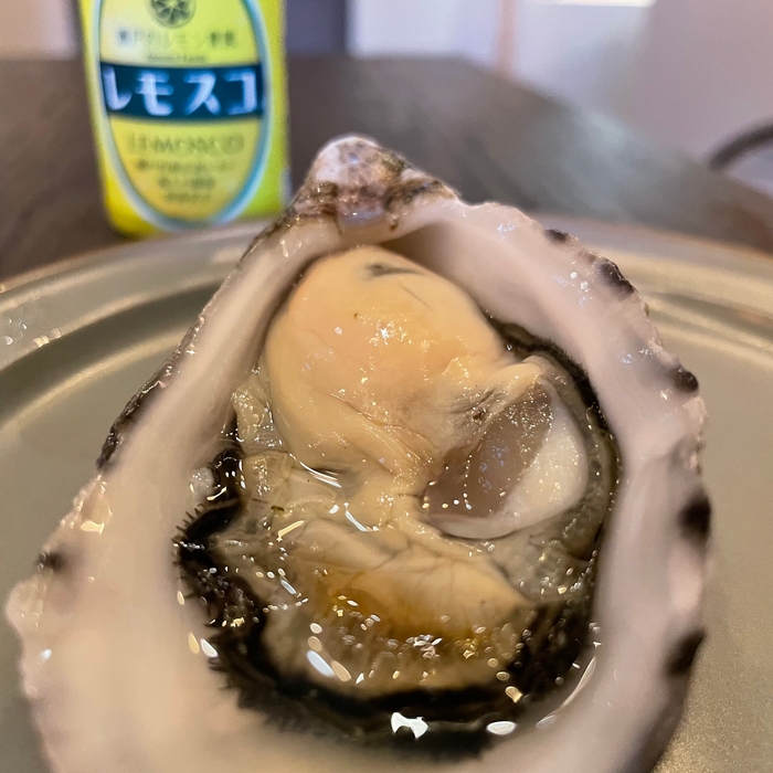 世界遺産タスマニアのキャッツアイ