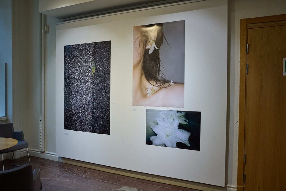 2025年夏にストックホルムで開催された共同写真展「FLOWER展」(2)