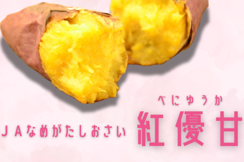 茨城県が誇るブランドさつまいも「紅優甘」を「JAタウン」で販売開始