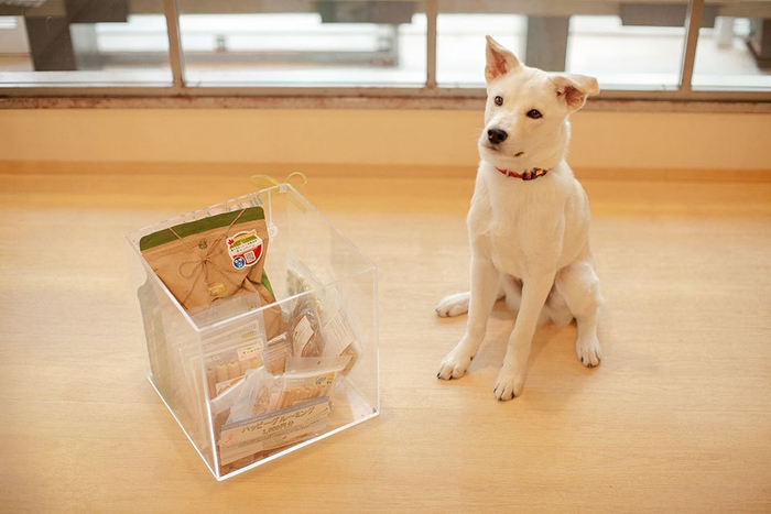 幸せのおすそわけ ~ハッピープレゼント