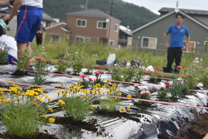 植栽後の花壇