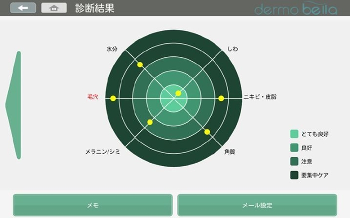 スキンチェッカーを使用した診断結果イメージ 