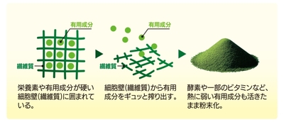 生搾り国産大麦若葉エキス