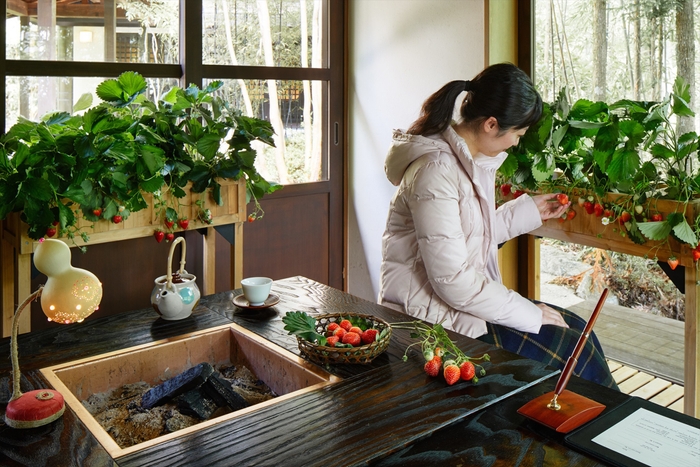 【界 川治】水車小屋_苺