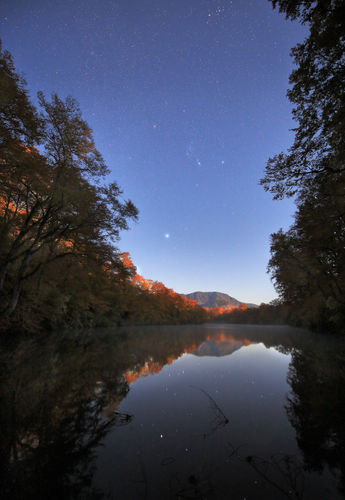 晩秋の森を照らす星月夜（場所：鎌池/長野県小谷村）