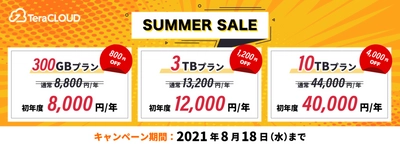 10TBのクラウドストレージが最大4,000円OFF！TeraCLOUDサマーセールを開催