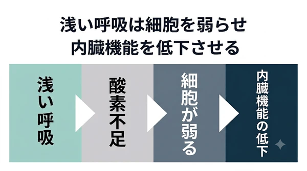 眠りの質が低下する本当の理由は「呼吸の弱まり」だった ― 酸素不足で回復力が止まる構造を公開