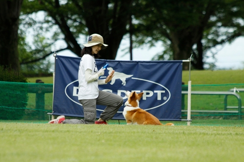 ディスクドッグ競技会2