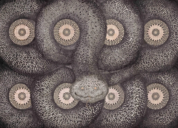 「宇宙蛇」2020 墨、透明水彩、キャンバス、アクリル、ペン、龍神水、金泥、あかし紙、吉祥麻紙 460×640cm (C)KANEKO Tomiyuki Courtesy of Mizuma Art Gallery